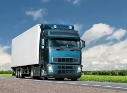 Shree Shyam International Packers & Movers Shree Shyam International Packers & Movers
